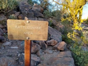 Signal Hill Hiking Trail Guide, Saguaro National Park