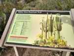 Valley View Overlook Trail Hiking Guide