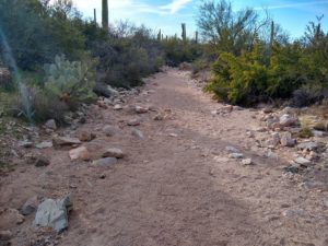 Valley View Overlook Trail Hiking Guide