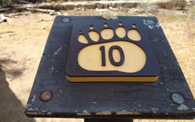 Bear Woodland Trail