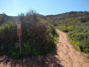 Black Mountain trail hiking guide, San Diego