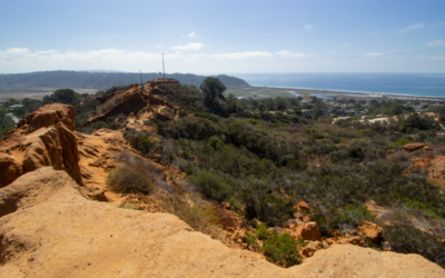 Red Ridge Trail