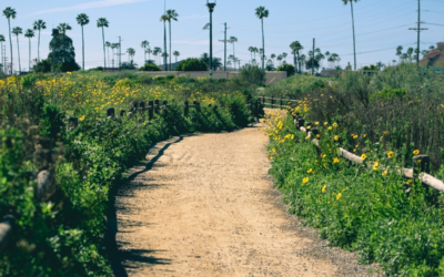 San Dieguito Lagoon