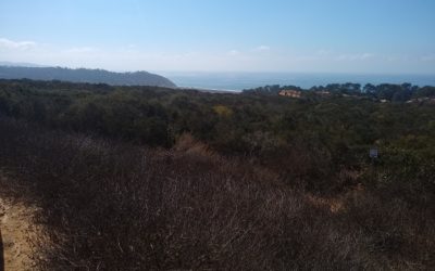 Margaret Fleming Nature Trail