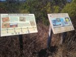 Torrey Pines State Natural ReserveMargaret Fleming Trail Hiking Guide