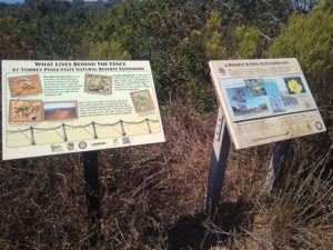 Torrey Pines State Natural ReserveMargaret Fleming Trail Hiking Guide