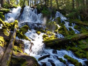 Clearwater Falls Hiking Trail Guide, Umpqua National Forest, Oregon