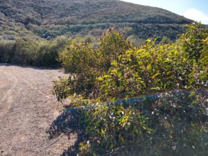 Double Peak Hiking Trail Guide, San Marcos