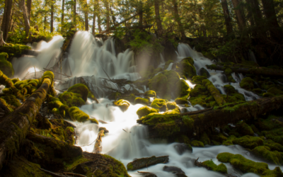 Clearwater Falls