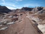 Blue Mesa Hiking Trail , Petrified Forest National Park, Arizona, Painted Desert