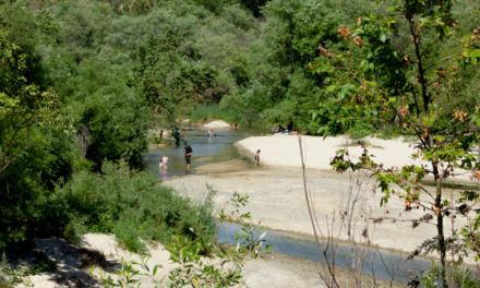 Santa Margarita River Trail Preserve