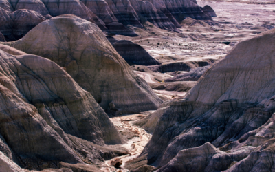 Blue Mesa Trail