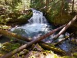 Whitehorse Falls Hiking Trail Guide, Clearwater, Oregon