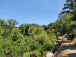 Santa Margarita River Trail Preserve Hiking Trail Guide, Fallbrook, California, San Diego