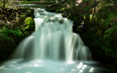 Whitehorse Falls – Umpqua National Forest