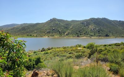 Lake Hodges High Trail