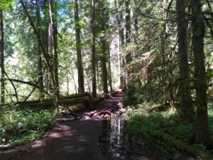 Toketee Falls Hiking Guide, Clearwater, Oregon, Umpqua National Forest, North Umpqua River