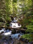 Watson Falls Hiking Trail Guide, Oregon, Watson Creek, North Umpqua River