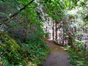Watson Falls Hiking Trail Guide, Oregon, Watson Creek, North Umpqua River