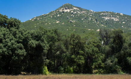 Oakzanita Peak – Cuyamaca Rancho State Park