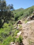 Oakzanita Peak Hiking Trail Guide, Cuyamaca Rancho State Park
