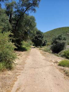 Oakzanita Peak Hiking Trail Guide, Cuyamaca Rancho State Park