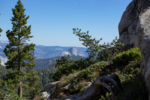 May Lake Hiking Trail Guide, Yosemite National Park