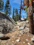 May Lake Hiking Trail Guide, Yosemite National Park