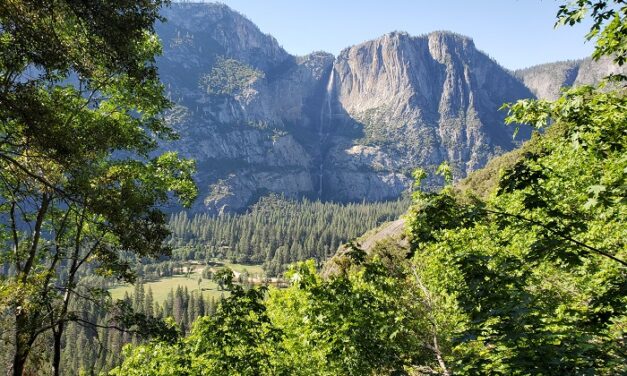 Union Point – Yosemite National Park