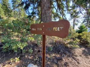 Four Mile Trail Hiking Guide, Yosemite National Park