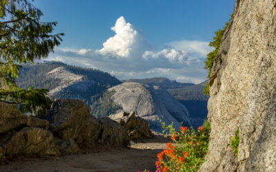 Four Mile Trail