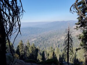 Big Baldy Hiking Trail, Sequoia National Park, Kings Canyon National Park