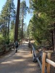 General Grant Loop Trail Hiking Guide