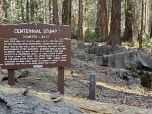 General Grant Loop Trail Hiking Guide