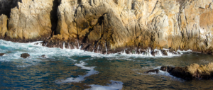 Point Lobos South Shore Trail Hiking Guide