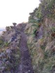 Rainbow Bridge Trail, Halemau'u Trail, Haleakala National Park