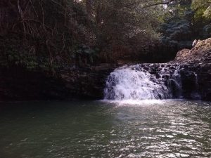 Twin Falls Hiking Trail guide, Maui, Road to Hana
