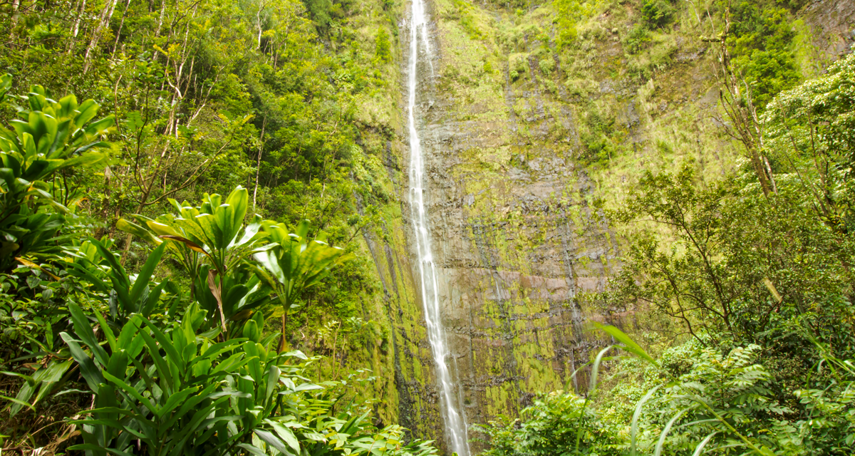 Pipiwai Trail and Waimoku Falls
