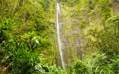 Pipiwai Trail and Waimoku Falls