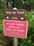 Pipiwai Trail and Waimoku Falls Hiking Trail Guide, Haleakala National Park, Kipahulu District