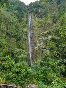 Pipiwai Trail and Waimoku Falls Hiking Trail Guide, Haleakala National Park, Kipahulu Districtq