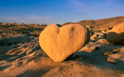 Heart Rock – Joshua Tree National park