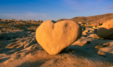 Heart Rock – Joshua Tree National park