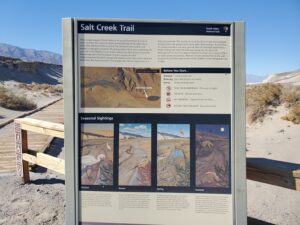 Salt Creek Interpretive Trail Hiking Guide, Death Valley National Park