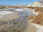 Salt Creek Interpretive Trail Hiking Guide, Death Valley National Park